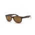 Ray Ban RB2132 New Wayfarer Polarized